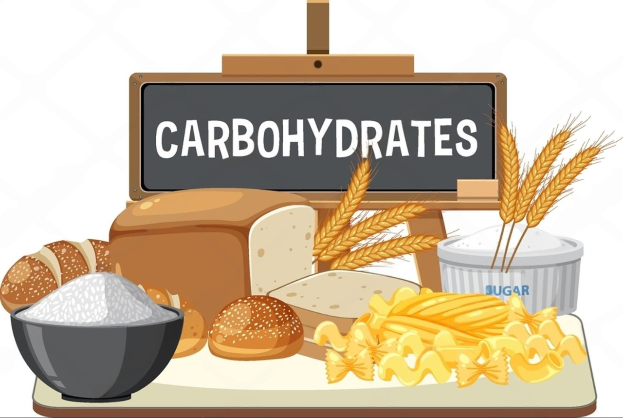 Our Blogs 49 Carbohydrates