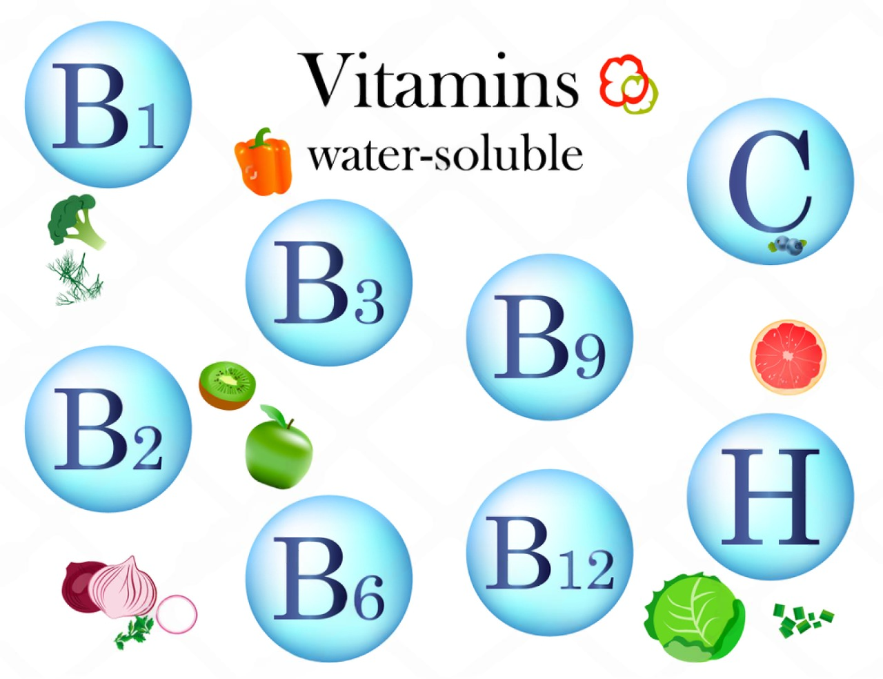 Our Blogs 46 What Are Water-Soluble Vitamins and Why Are They Crucial?