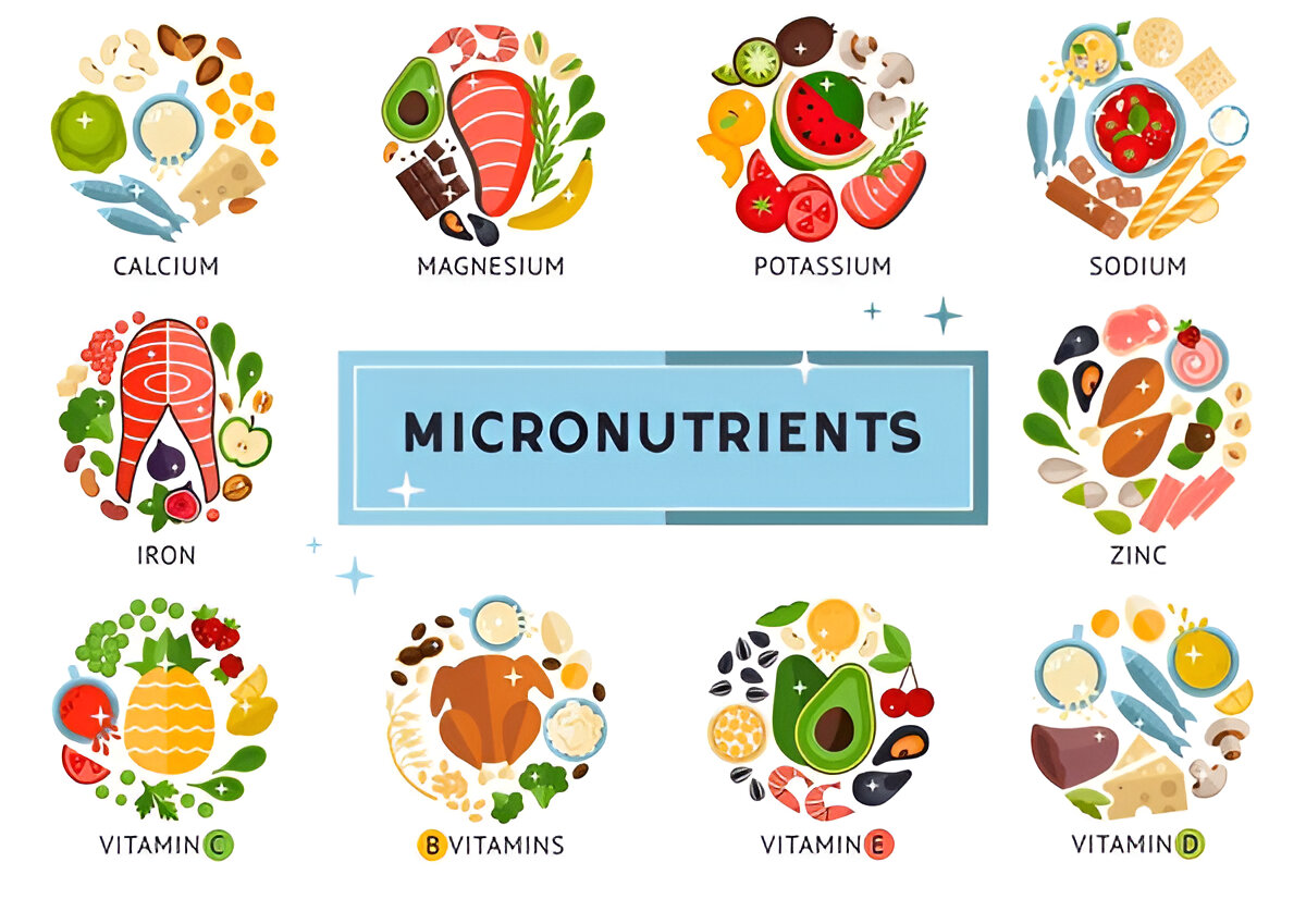 Our Blogs 39 Understanding Micro Nutrients Essential Building Blocks for Health