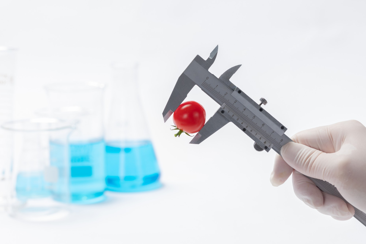 Nutrition Science 2025: What's Really New and What You Should Do?