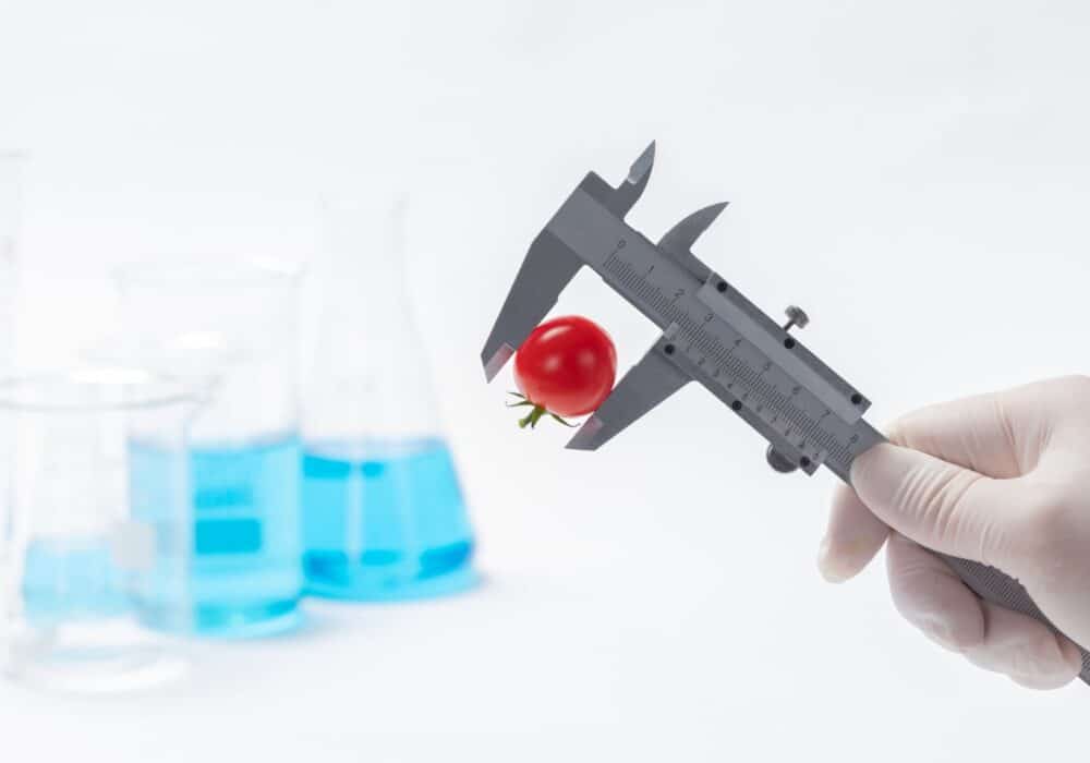 Nutrition Science 2025: What's Really New and What You Should Do?