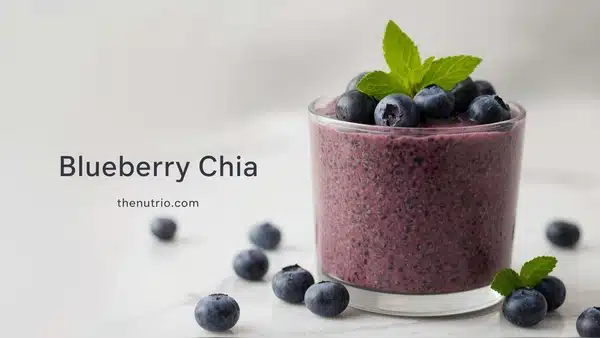 Blueberry chia pudding topped with fresh blueberries.